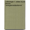 Celbiologie 1. Slides bij de lessen 'energiemetabolisme' by F. Schuit