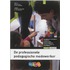 De professionele pedagogisch werker