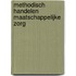 Methodisch handelen maatschappelijke zorg