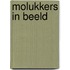 Molukkers in Beeld
