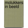 Molukkers in Beeld door W. Manuhutu