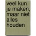Veel kun je maken, maar niet alles houden