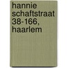 Hannie Schaftstraat 38-166, Haarlem door R.M. van der Zee