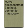 Rector Driessenstraat 3 te Heel, gemeente Maasgouw door N. de Jonge