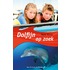 Dolfijn op zoek