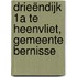 Drieëndijk 1a te Heenvliet, gemeente Bernisse
