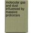 Molecular gas and dust influenced by massive protostars