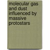 Molecular gas and dust influenced by massive protostars by M.H.D. van der Wiel