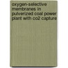 Oxygen-selective membranes in pulverized coal power plant with CO2 capture door A. Matic