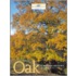 Oak