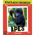 Apes
