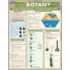 Botany