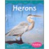Herons