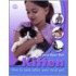 Kitten