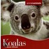 Koalas