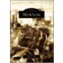 Newton