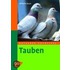 Tauben