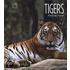 Tigers