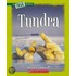 Tundra
