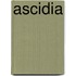 Ascidia