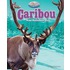 Caribou