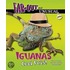 Iguanas