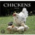 Chickens