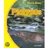 Platypus door Sara Antill