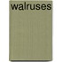 Walruses
