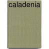 Caladenia by Not Available