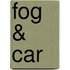 Fog & Car