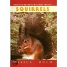 Squirrels by Jessica Holm