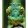 Chameleons door Sophie Lockwood