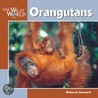 Orangutans door Deborah Dennard
