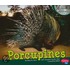 Porcupines