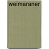 Weimaraner door Philip Bauer