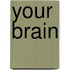 Your Brain