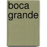 Boca Grande door Theodore B. Van Itallie