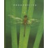 Dragonflies