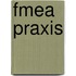 Fmea Praxis