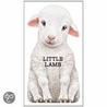 Little Lamb door L. Rigo