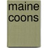 Maine Coons