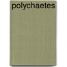 Polychaetes by Susan Chambers