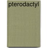 Pterodactyl by Sheryl Peterson