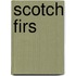 Scotch Firs