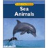 Sea Animals