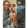 Baghdad Pups by Meish Goldish