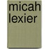 Micah Lexier