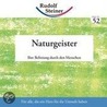 Naturgeister door Rudolf Steiner