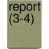 Report (3-4)